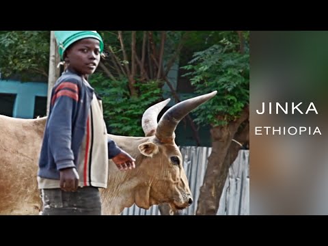 Travel in Africa -  Jinka. Ethiopia