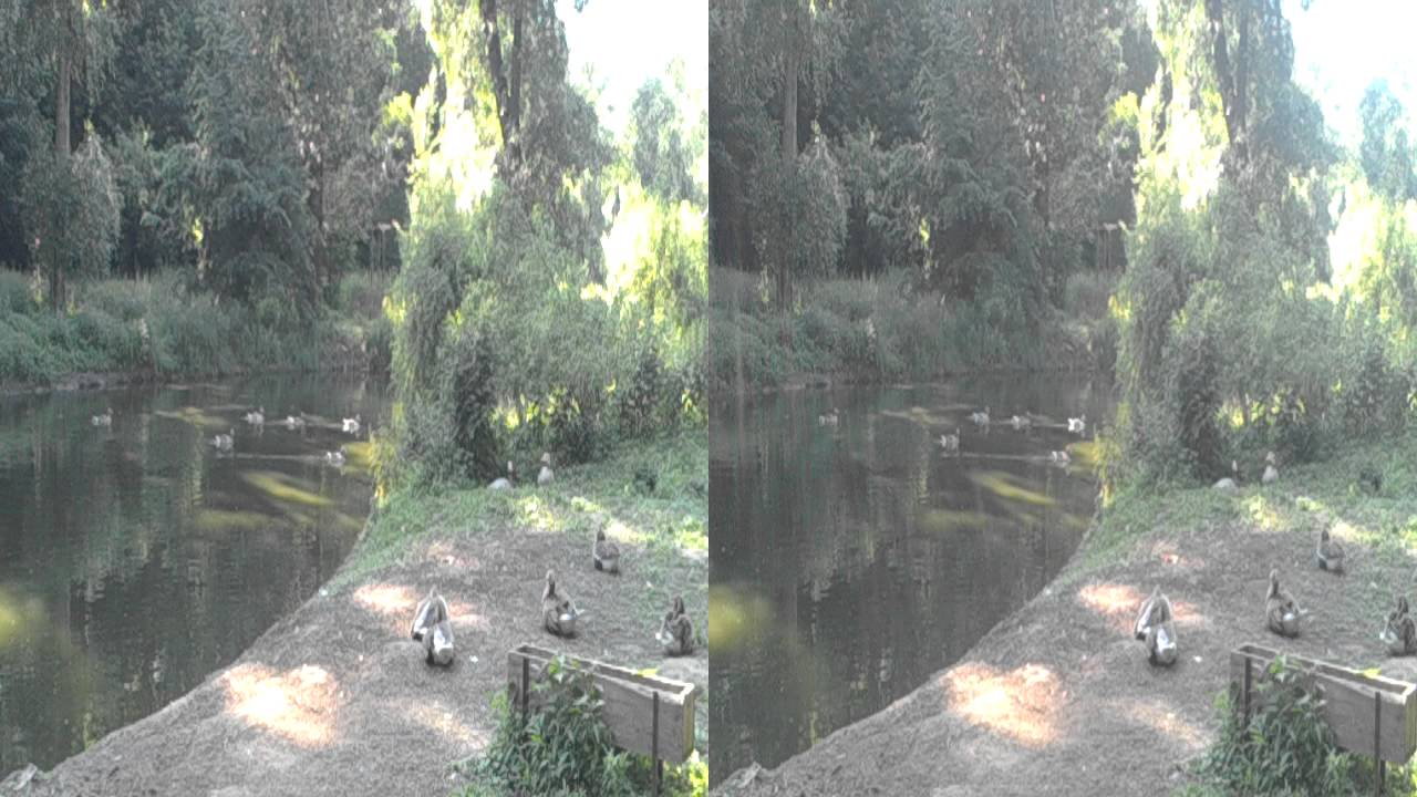 Пример видео с основной камеры в LG Optimus 3D Max (в 3D) №2