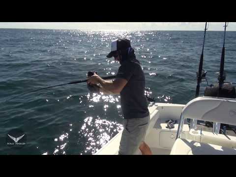 How to catch coral trout 
