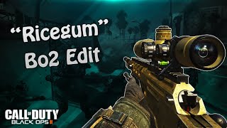 Ricegum - Bo2 Edit