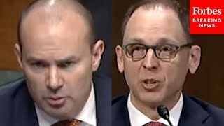 Mike Lee Grills Judicial Nominee About 'Disturbing' Action