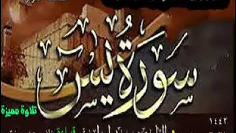 سورة يس بقراءة حلف عن حمزة الكوفي تلاوة مميزة وهادئة وخاشعة حصري باذن الله تعالي