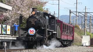 [京都鉄道博物館]  JR西日本C56-160号機 SLスチーム号 (プラレール60thHM付き)  発車シーン (汽笛付き)