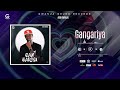 Ado Gwanja Gangariya Official Audio 2025