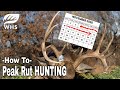 How To Hunt The Peak Rut