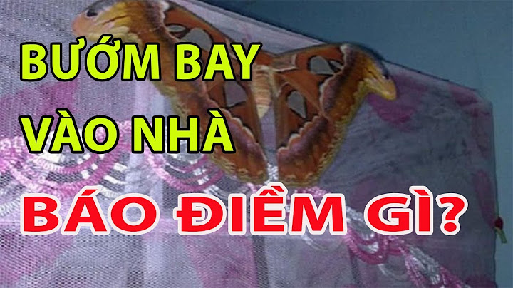 Bướm bay vào nhà ban đêm là điềm gì năm 2024