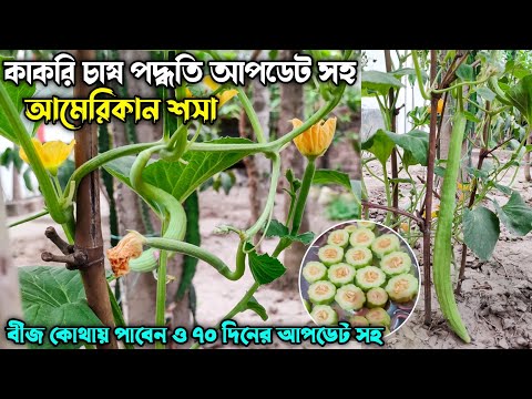 ভিডিও: একটি InnoTab কি?