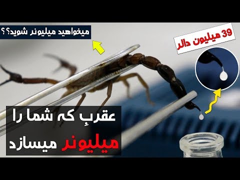 تصویری: عقرب چگونه غذا می گیرد؟