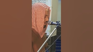 تلاوه هادئه لراحة قلبك ❤️❤️🎧
