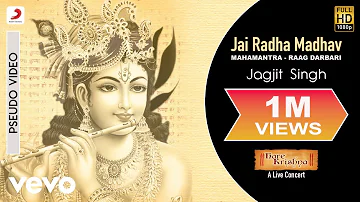 Jai Radha Madhav - Live Concert | Jagjit Singh Bhajans