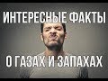 Полезные и интересные факты о запахах и газах, озон, гексафторид серы, фосген, сероводород