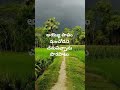 please like share and subscribe #sri ranga neethulu🩷🎶#panchami poota🩷🎶#songs #ytshorts