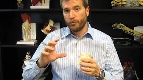 Facet Joint Sprains can cause Low Back Pain