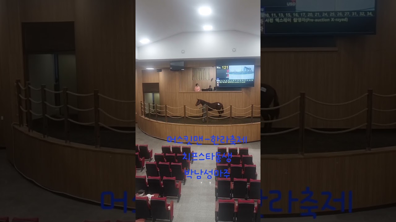 머스킷맨-한라축제(치프스타 동생, 박남성마주, 8.000만원)