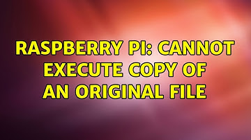 Raspberry Pi: Cannot execute copy of an original file (2 Solutions!!)