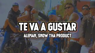 Aleman & Snow Tha Product - Te Va a Gustar | LETRA