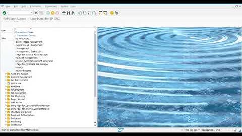 04 - POST INSTALLATION CONFIGURATION - ACTIVATING SICF SERVICES