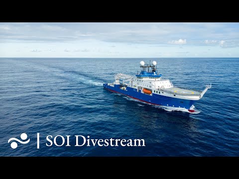 Lance 38.1 Mar Del Plata Canyon | SOI Divestream 815
