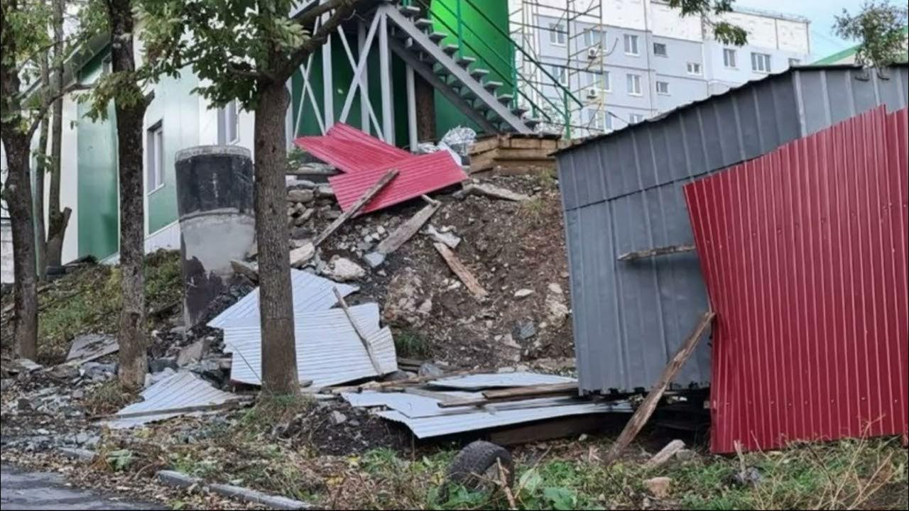 сломанная ветром смущенно