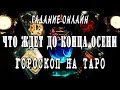 Гадание онлайн🔮 ЧТО ВАС ЖДЕТ ДО КОНЦА ОСЕНИ?🎡 ГОРОСКОП НА ТАРО ПО СТИХИЯМ!