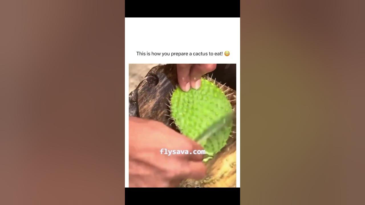 Yes, You Can Eat Cactus 🌵