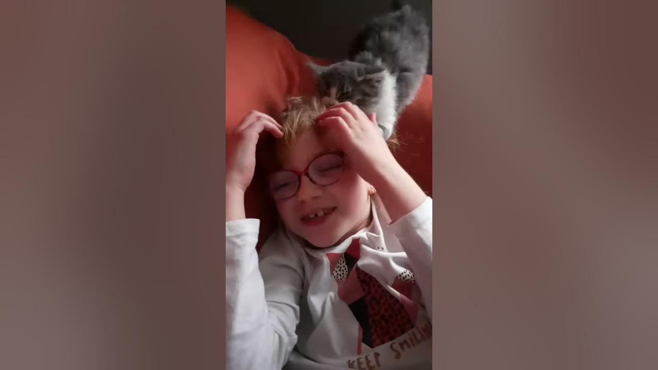 mon chat me mange les cheveux 🤣 YouTube