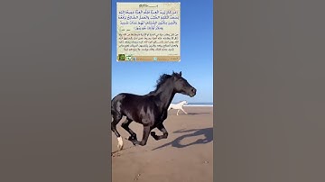 من كان يريد العزة #قرآن كريم #تلاوة خاشعة بصوت القارئ عبد الباسط عبد الصمد