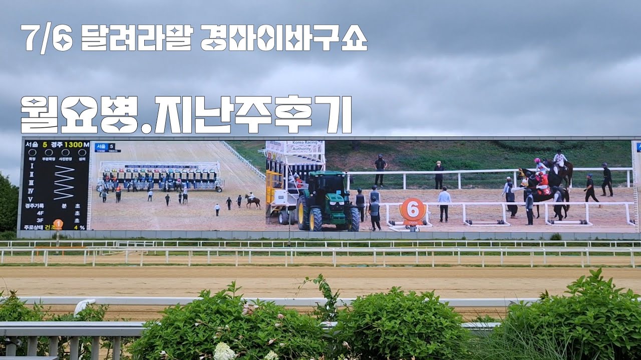 삼일경마 하늘이 주신 기회를 날려버리고 나온사단!(역쉬 경마는 어려워)