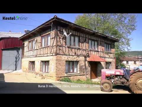 Kestel Aksu Mahallesi