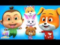 BeЕџ KГјГ Гјk Bebek Г Ocuk ЕџarkД LarД Ve Hikayeleri Loco Nuts BeЕџ KГјГ Гјk Bebek Г Ocuk ЕџarkД LarД Ve Hikayeleri Loco Nuts