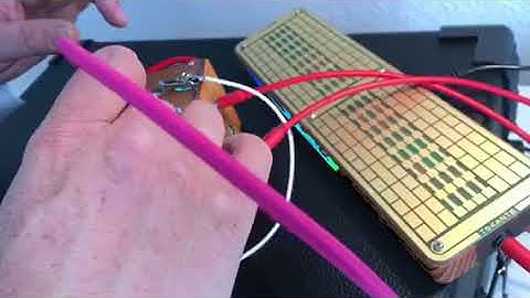 ciat lonbarde Play together with krusnek Forest