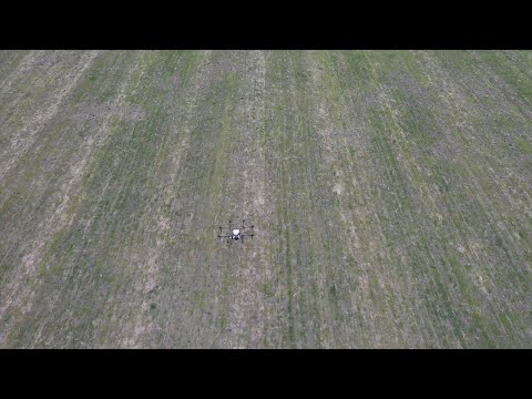 ხორბლის ნაკვეთის შეწამვლა საგარეჯოში