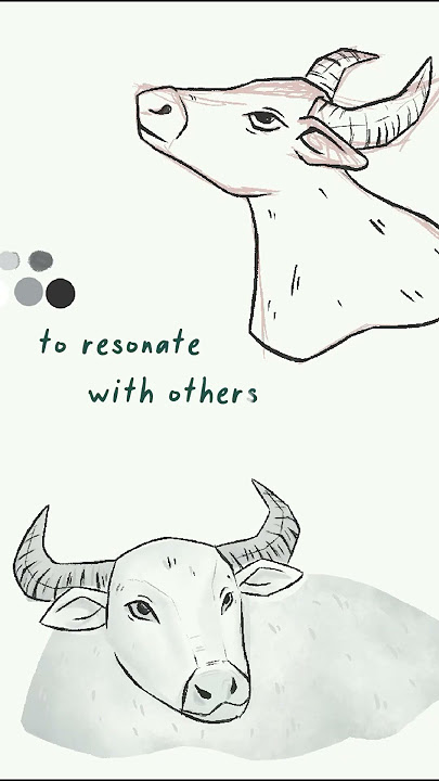 Create what you know - Sasha Bravo