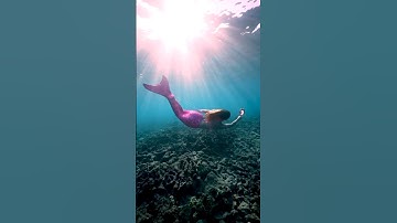 Magical Mermaid Treasure!