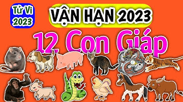 Vận Hạn của 12 Con Giáp trong năm 2023 chi tiết - Vận Hạn 2023 @Luangiai12congiap