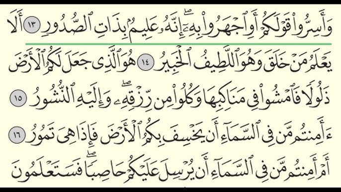 Porno aktrisa oyogida gul Porno kor bilan almashtirish