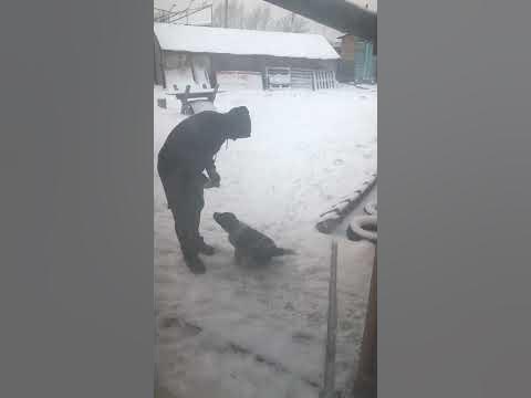 Кусочек мяска - кусочек счастья - YouTube