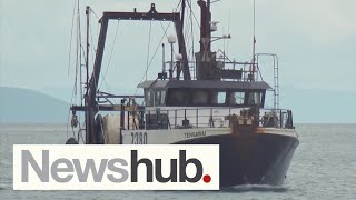 NZ's biggest fishing company rejects trawling behind starving snapper in Hauraki Gulf | Newshub screenshot 2