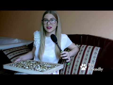 Video: Kako Obdržati Prepelice