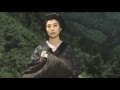 沓掛時次郎 橋幸夫 (カバー