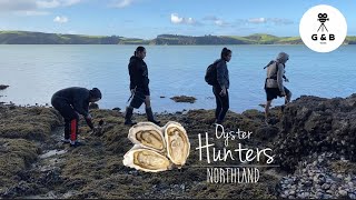 Northland | OYSTER gathering off the ROCKS!