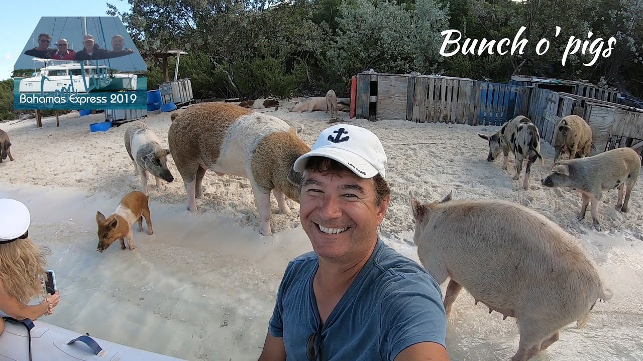 E24: Bunch o' Pigs Bahamas Express