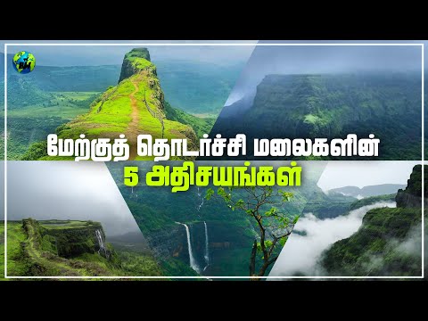 மேற்குத்தொடர்ச்சி மலைகளின் 5 அதிசயங்கள் | Wonders of Western Ghats | Documentary | Tamil | BioWorld