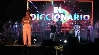 mix diccionario -claveles de la cumbia