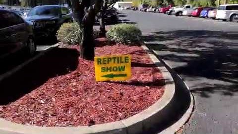 Repticon Columbia Nov. 2018 -Reptile Show