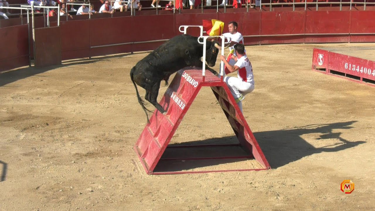 Tv Azagra -  08/09/2022 - Especial Arriazu