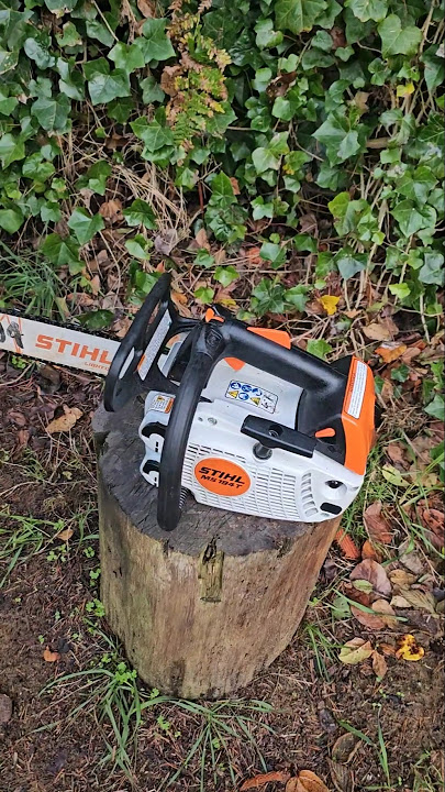 Stihl 194t Running #chainsaws