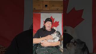 Rock-A-Bye Baby Serenade To The Girls