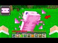 MINECRAFT MA POSSO MANGIARE I MOB!