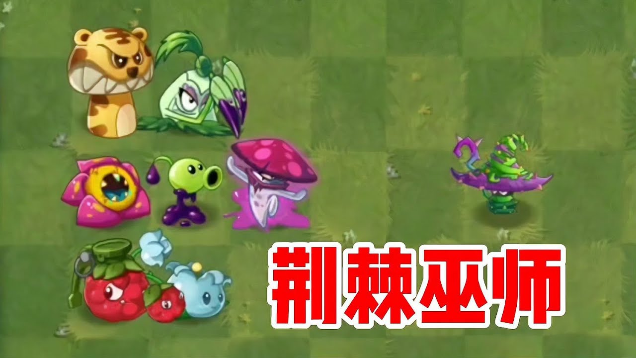 爆新植物荆棘巫师 新植物荆棘巫师加入哪个家族 #植物大战僵尸 #荆棘巫师 #新植物 #家族归属 #资料泄露